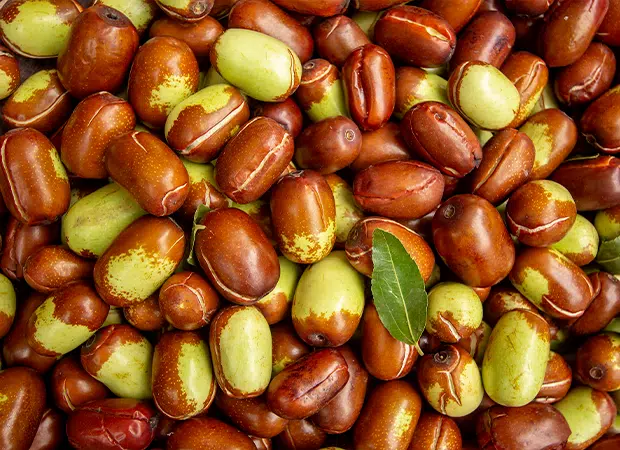 Jojoba