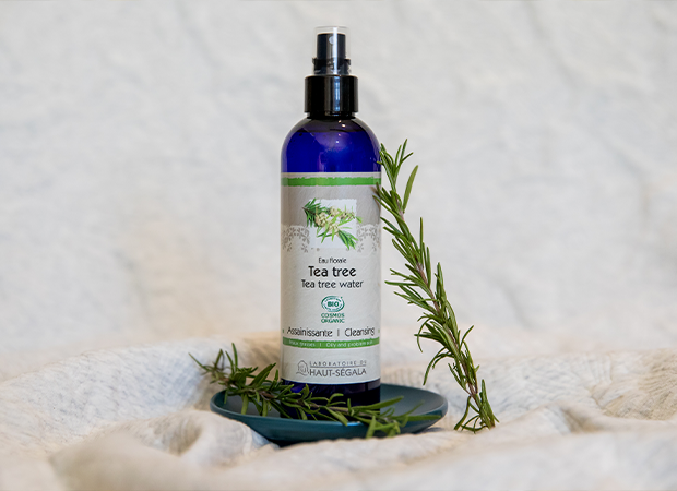 Eau florale de tea tree